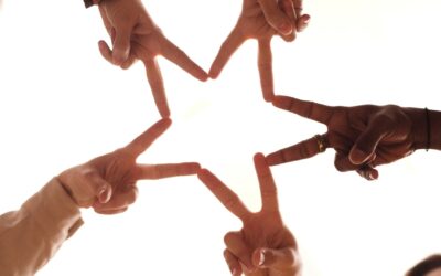  Reputation Management & Local Search Rankings