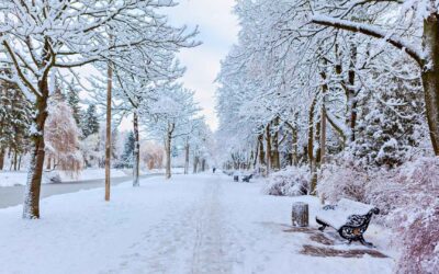 Winter Content Marketing Matters More Than You Think